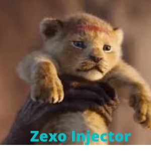 Zexo Injector APK
